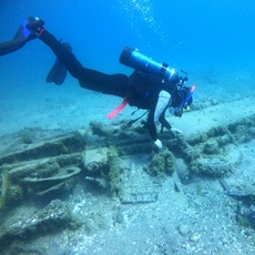 Archaeology Tuskegee Aircraft 230x230.jpg